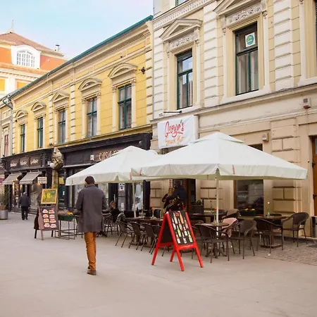 Old Town بيت شباب *
